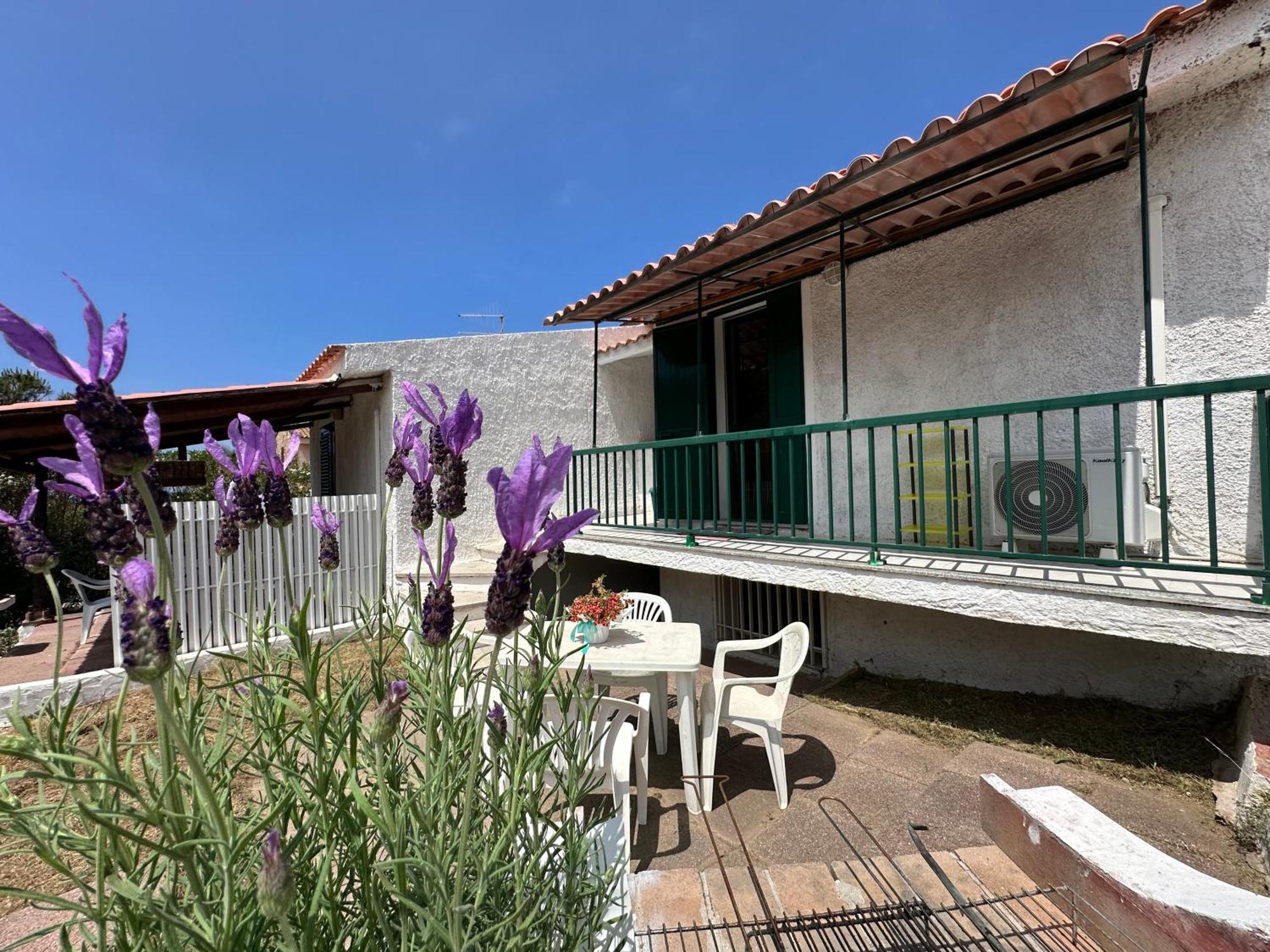 Magnolie-la Pineta Apartment