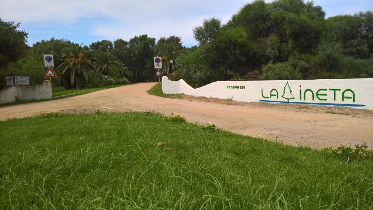 Magnolie-la Pineta Apartment