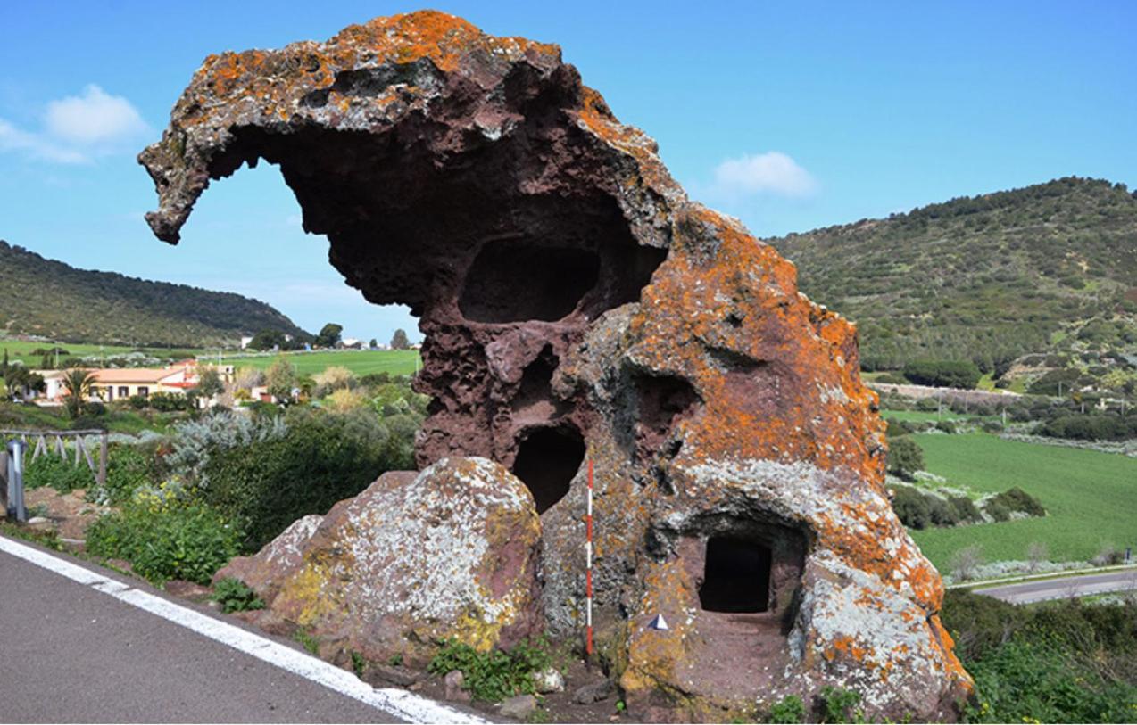 Magnolie-la Pineta Valledoria (Sardinia)