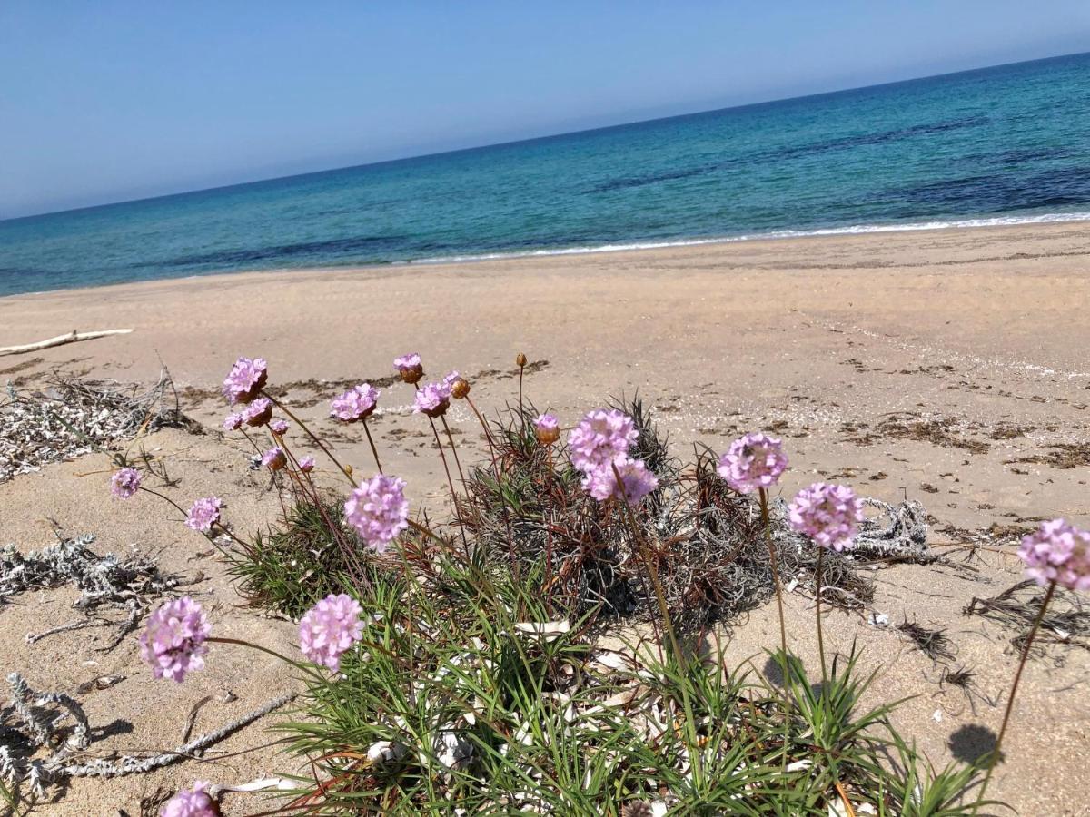 Magnolie-la Pineta * Valledoria (Sardinia)