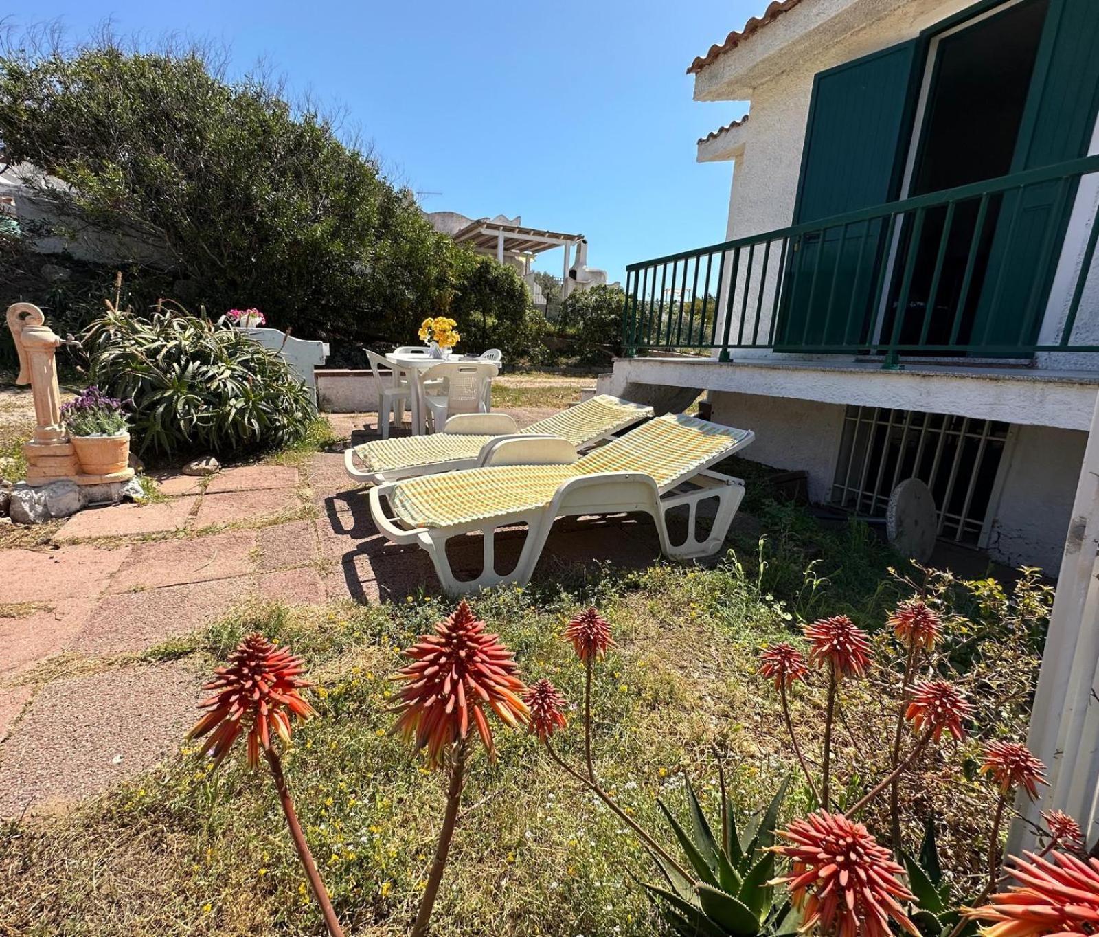 Magnolie-la Pineta