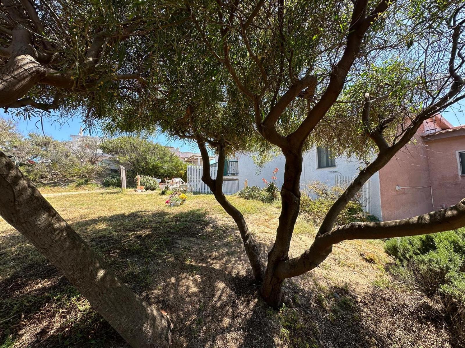 Apartment Magnolie-la Pineta Valledoria (Sardinia)