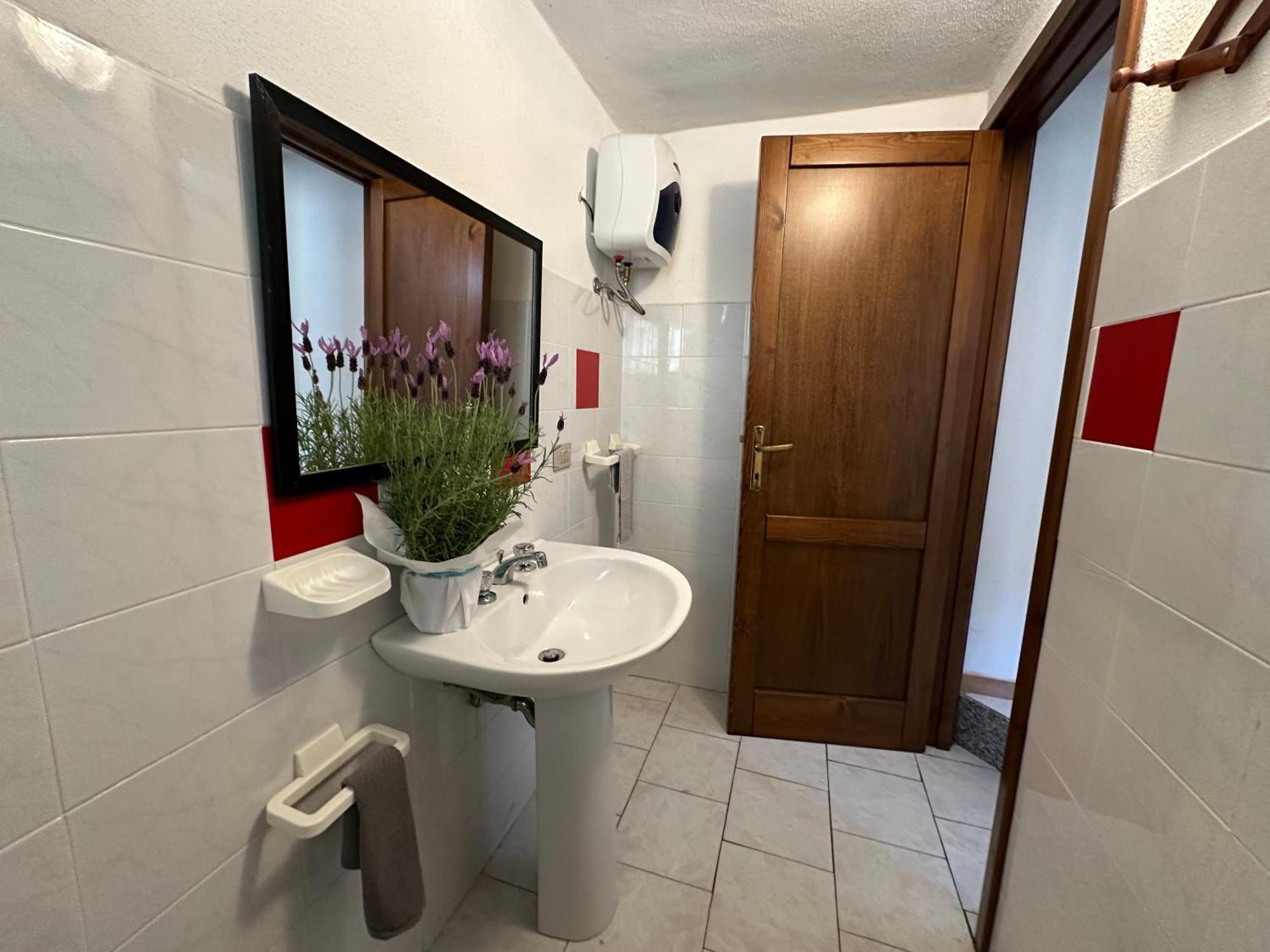 Magnolie-la Pineta Apartment *